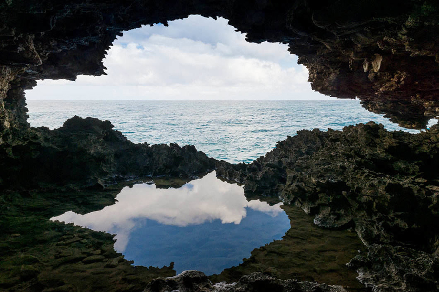 The Animal Flower cave is named after the sea anemones that live in the shallow pools inside.
