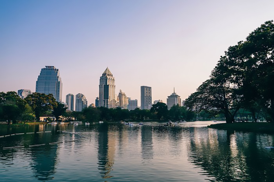 Lumphini Park is also home to a large lake where you can hire swan boats